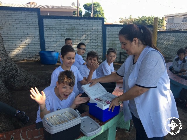 Dia do sorvete - 6º ano A e B - 2019 9 Dia do sorvete - 6º ano A e B - 2019 9