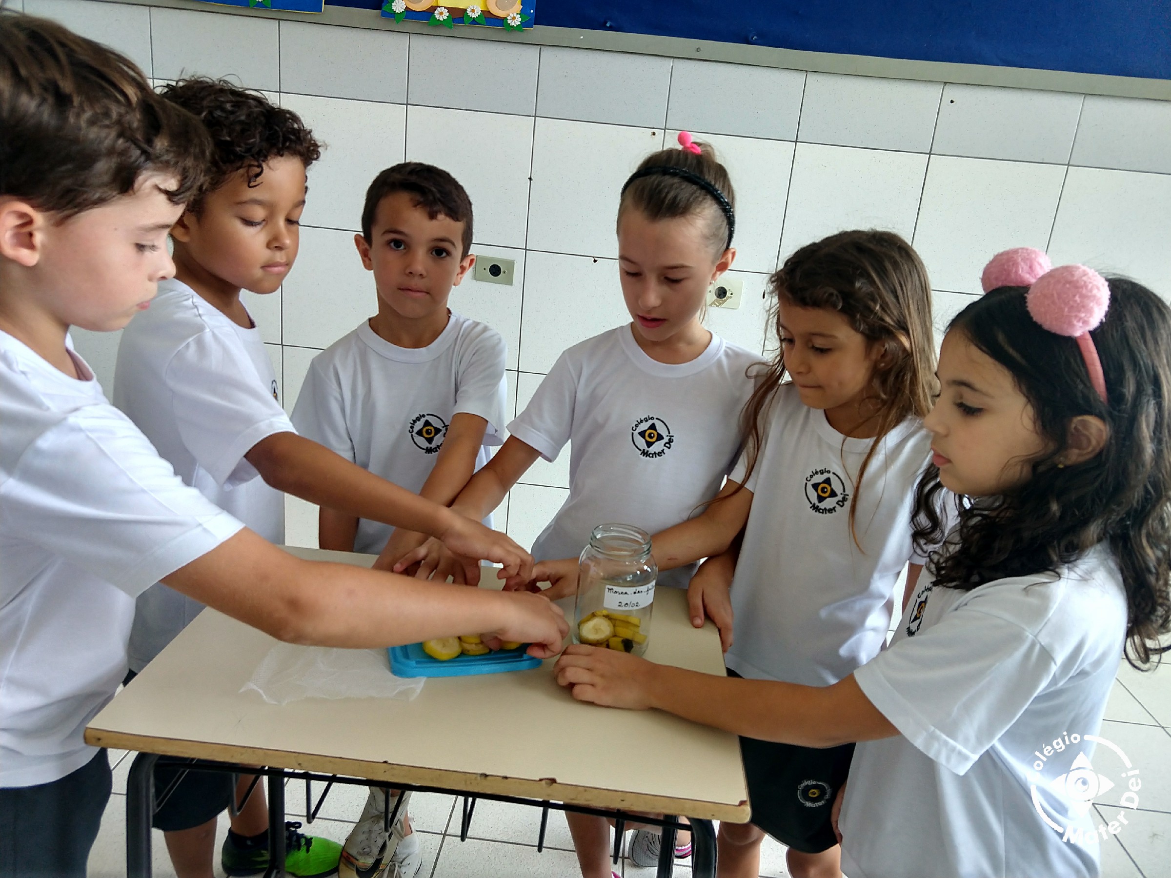 Experiência - 3º Ano A e B - 2020 9
