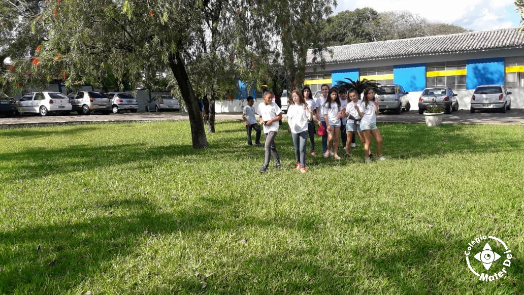 Unidos Contra a Dengue - 7º Ano Fundamental II - 2020 2 Unidos Contra a Dengue - 7º Ano Fundamental II - 2020 2