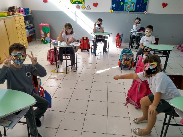 O macaco Totó apreendendo a ter autoconfiança - 2021 5