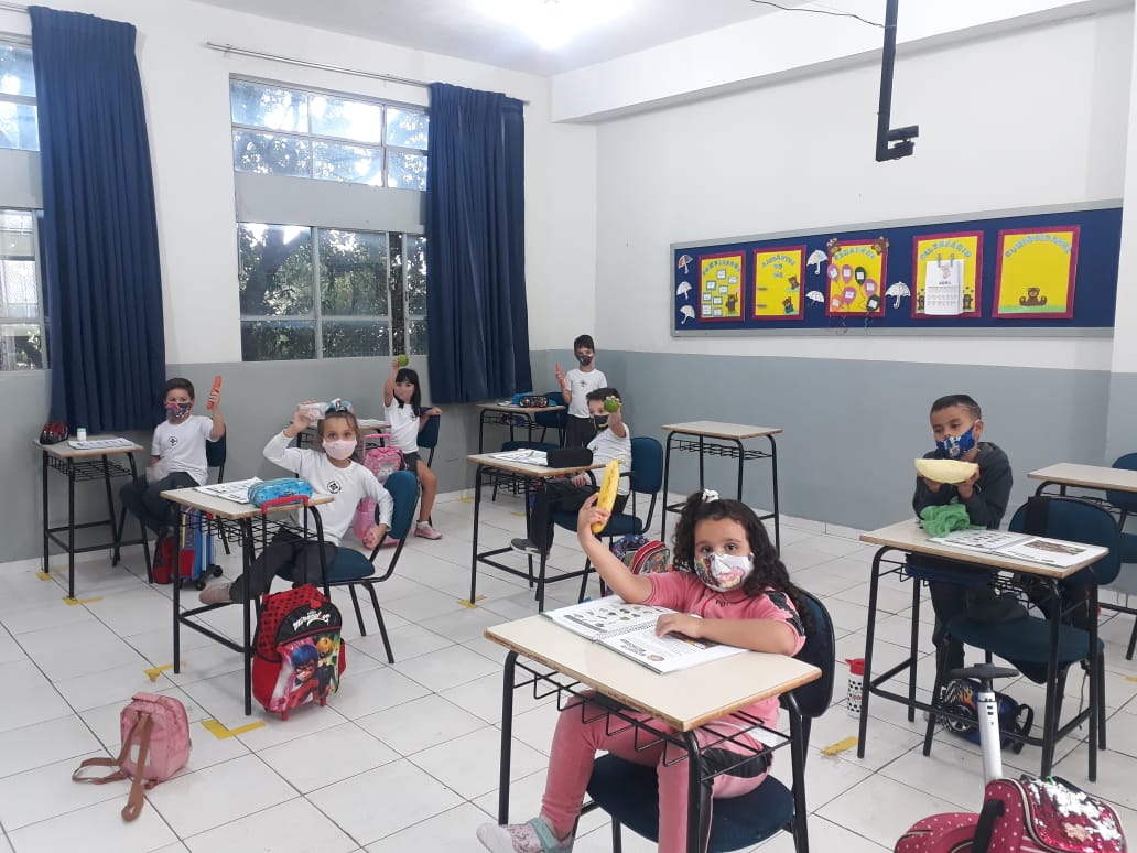 A relação entre as plantas e os seres humanos: Alimentação - 2021 11