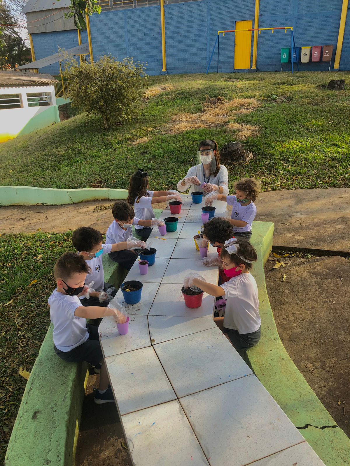 Plantando sementes de girassol - 2021 15