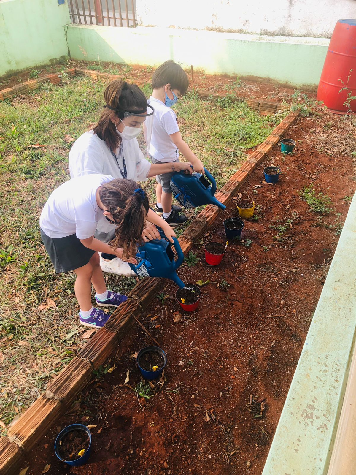 Regando as Sementes de Girassol - 2021 10