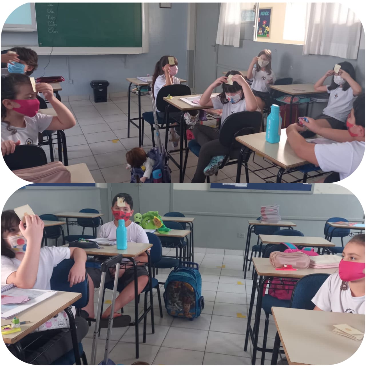Que parcela sou eu? - 2021 5