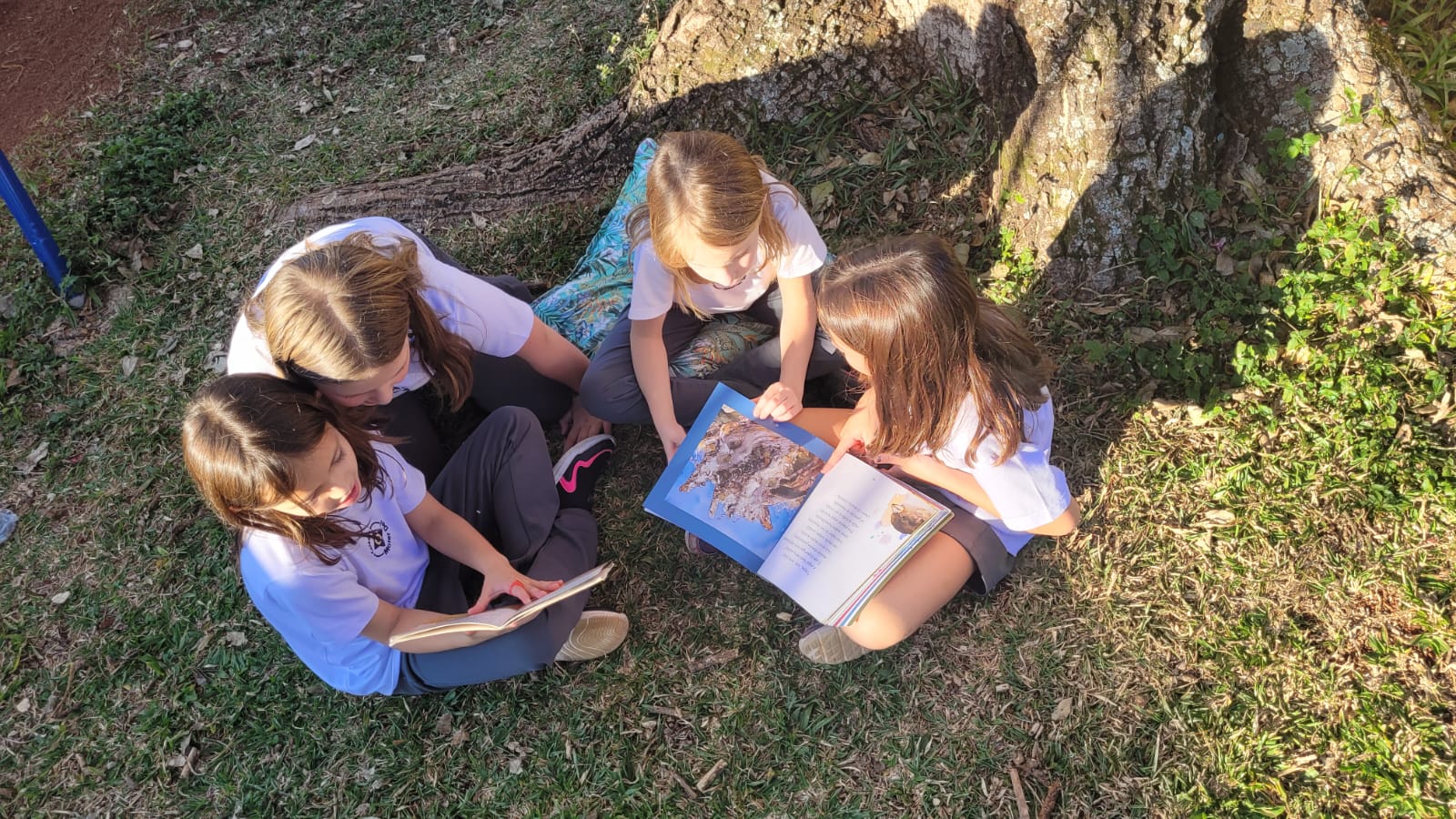Leitura do livro Pequeno Pode Tudo - 2023 1 Leitura do livro Pequeno Pode Tudo - 2023 1